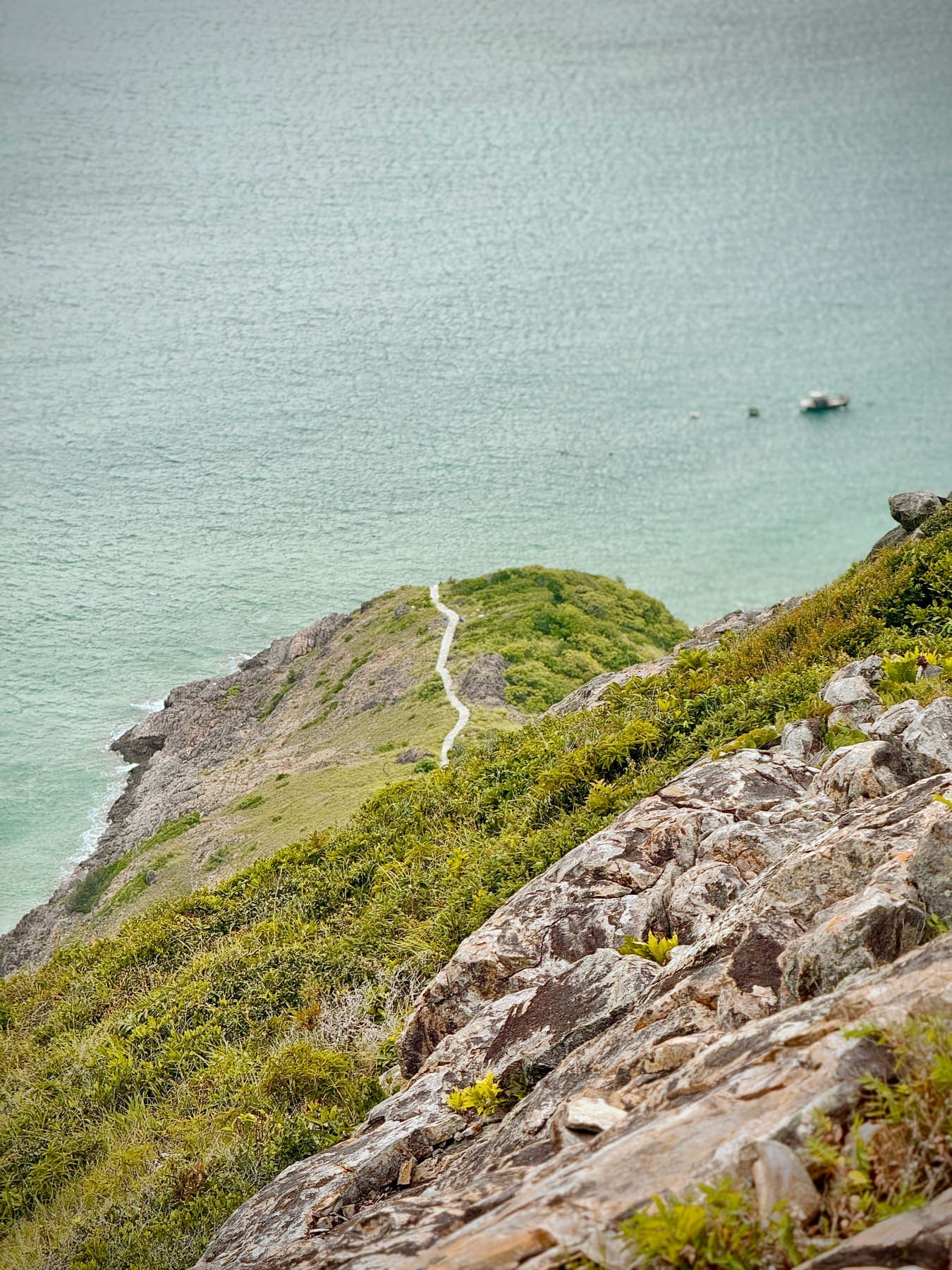 A narrow trail winding along a rocky headland above the sea