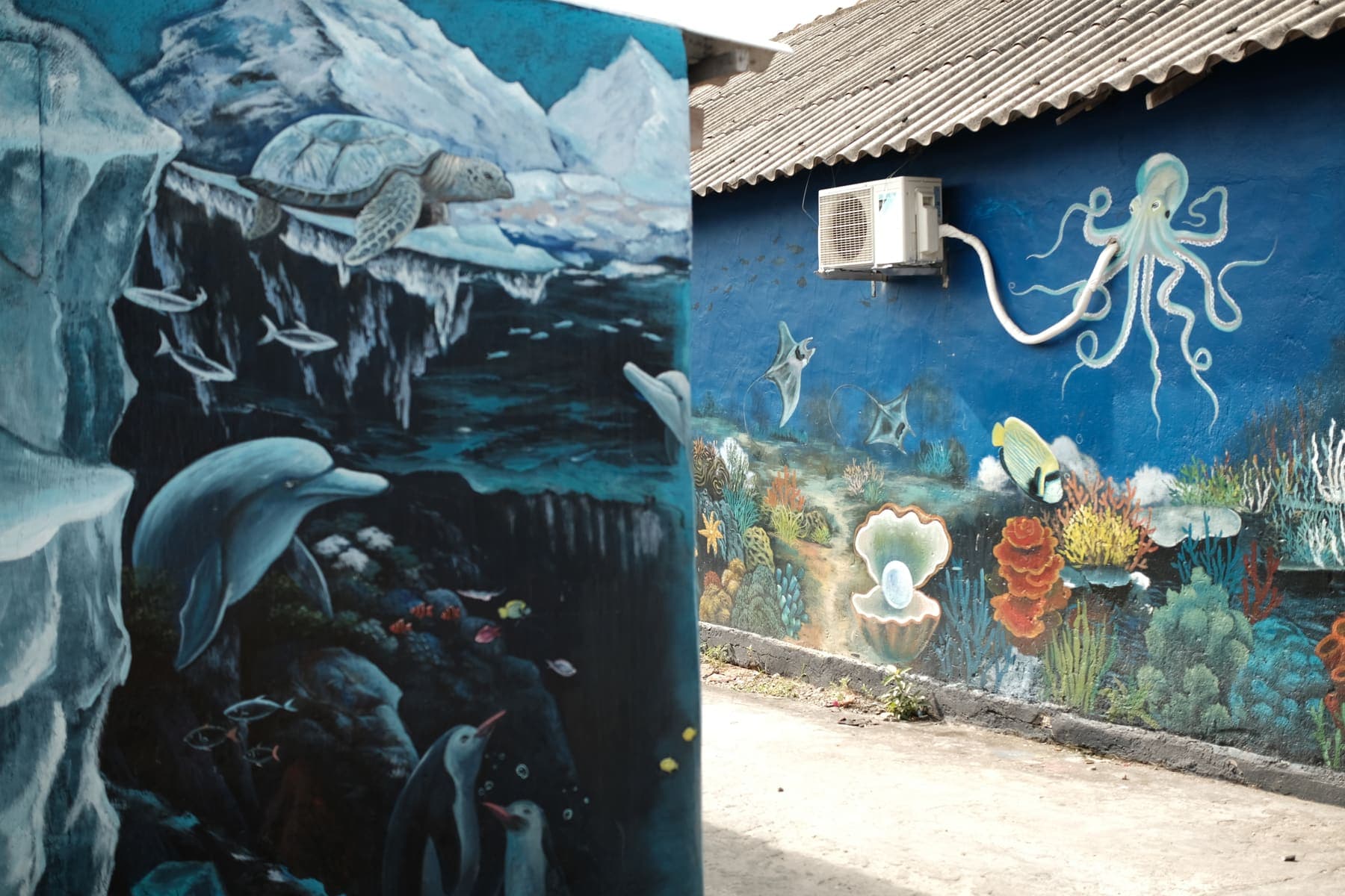 A mural of a turtle, dolphins and an octopus painted on village walls