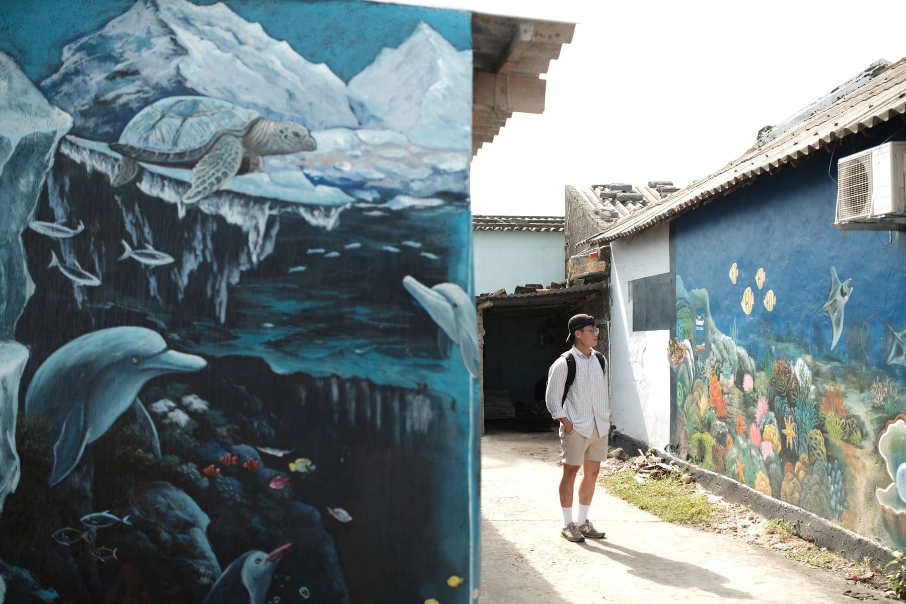 A man looking at the ocean murals painted along a village lane