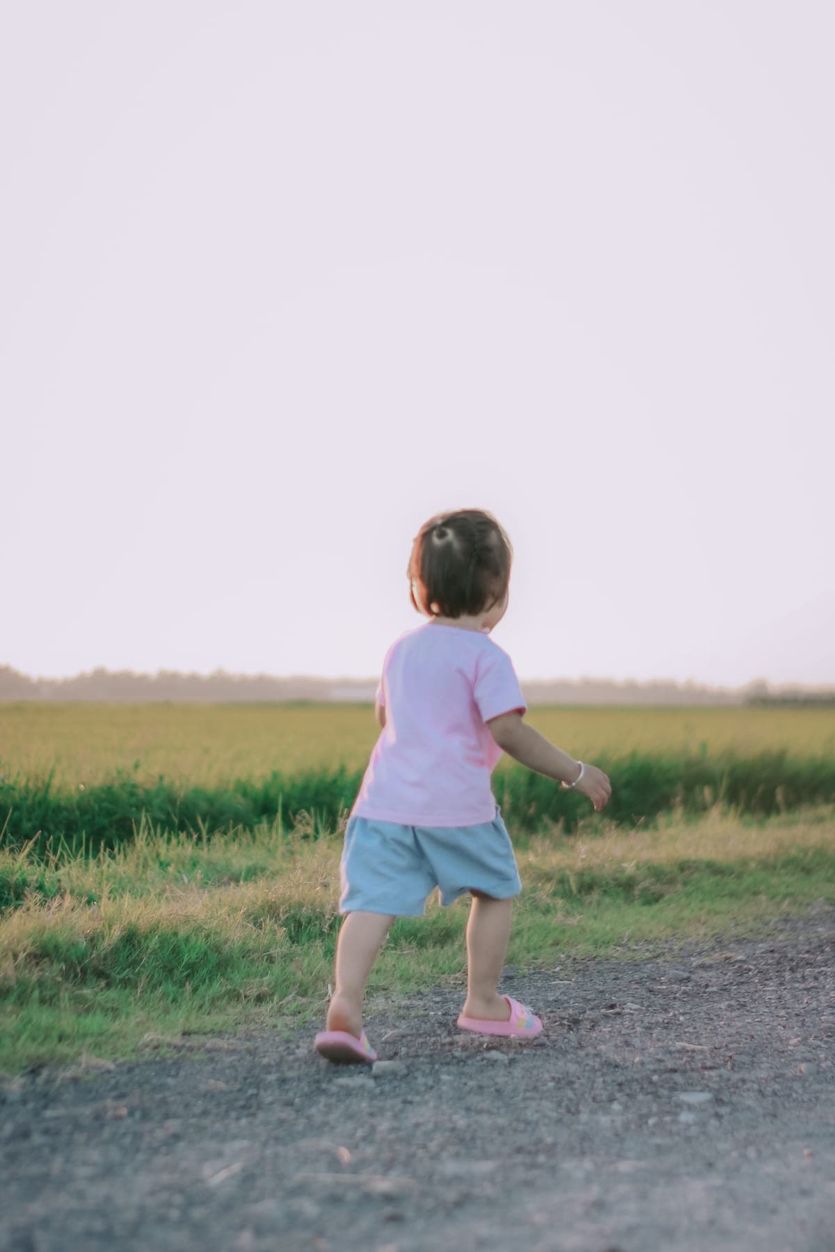 A little girl walking along a dirt path beside a rice field